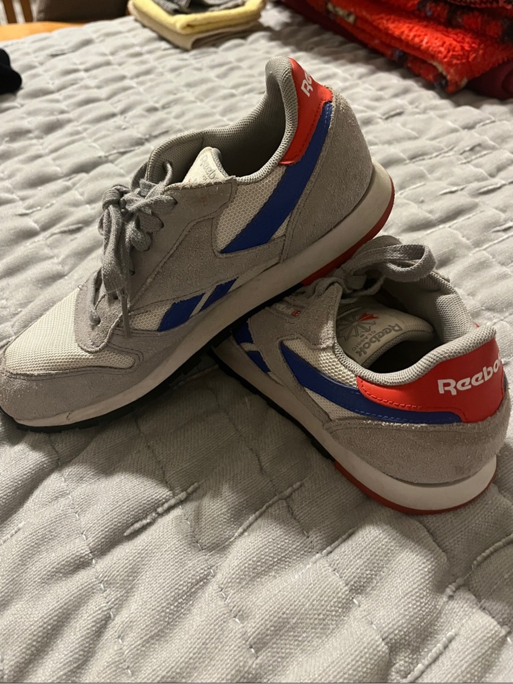 Reebok Gray Sneakers with Blue and Red Accents